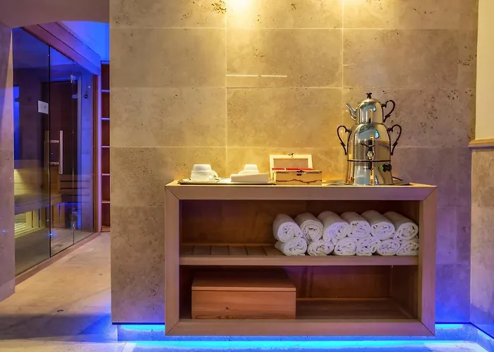 Hotel Accademia Club & Rome